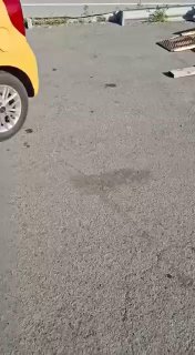 🚘🚘🚘 image preview