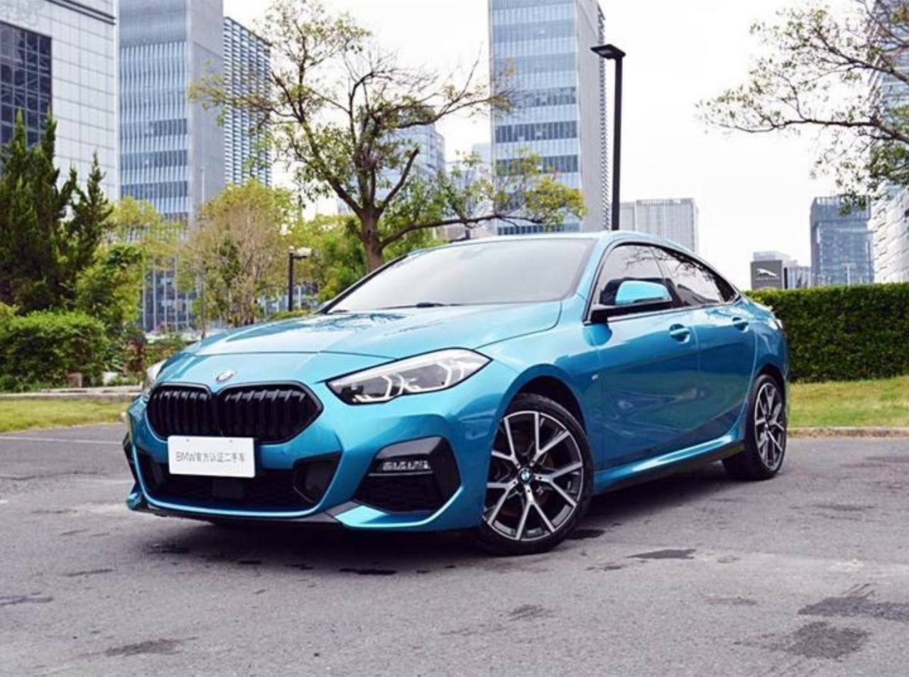 BMW 225i M Sport Black Pro Full 2021 купить image preview